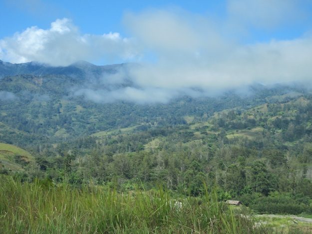landscape-kudjip