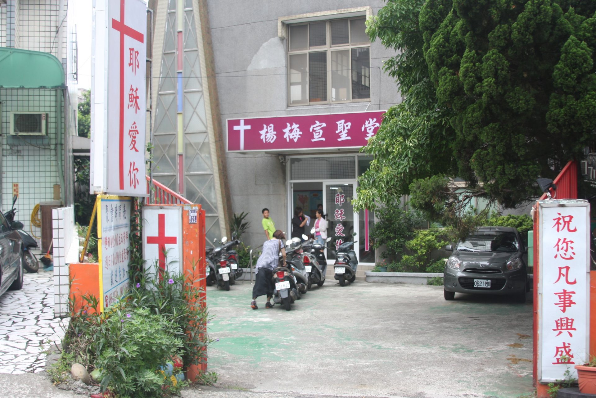 Yangmei CotN